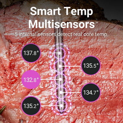 MEATER Pro Wireless Meat Thermometer